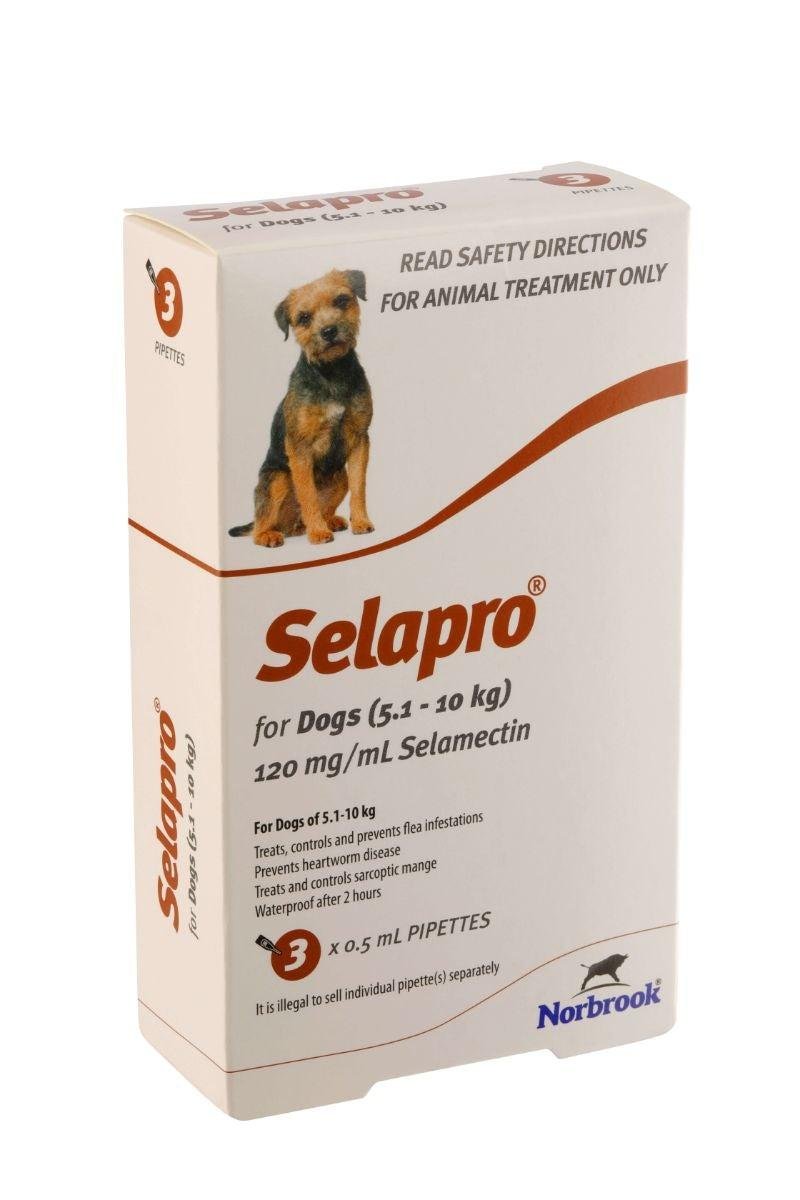 Selapro Flea & Worming Spot On Treatment 5.1-10kg Dog - PetPost Australia