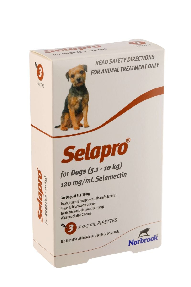 Selapro Flea & Worming Spot On Treatment 5.1-10kg Dog - PetPost Australia