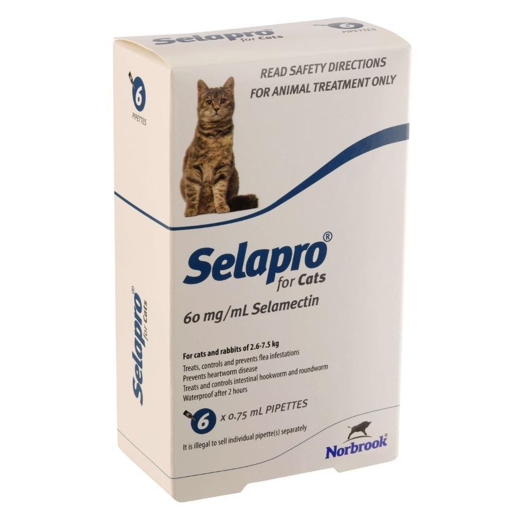 Selapro Spot On Treatment For Cats - PetPost Australia