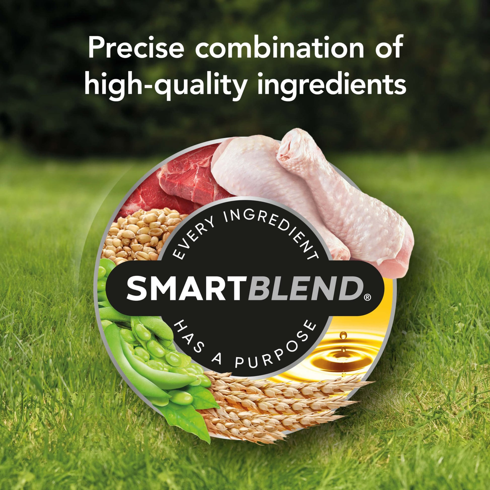 Supercoat Healthy Weight Adult Chicken Dry Dog Food - PetPost Australia