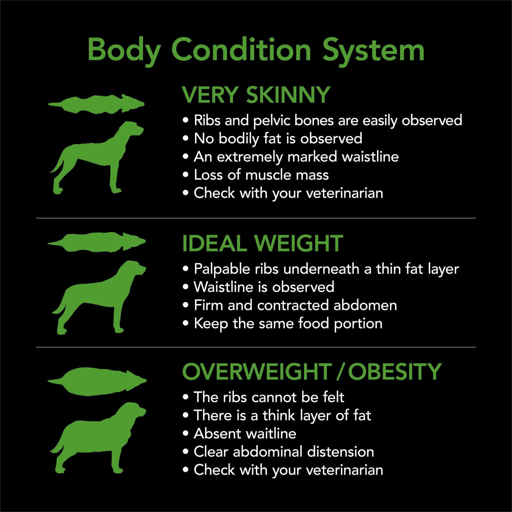 Supercoat Healthy Weight Adult Chicken Dry Dog Food - PetPost Australia