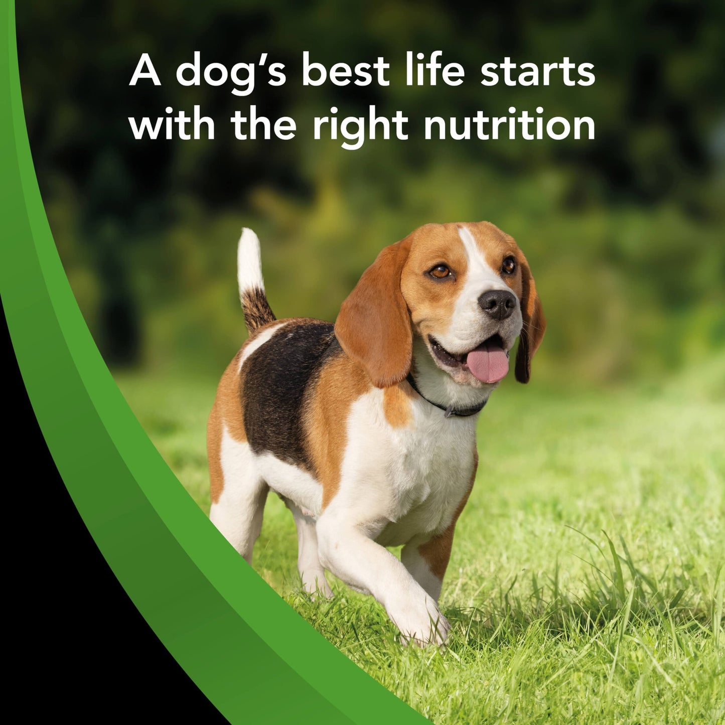 Supercoat Healthy Weight Adult Chicken Dry Dog Food - PetPost Australia