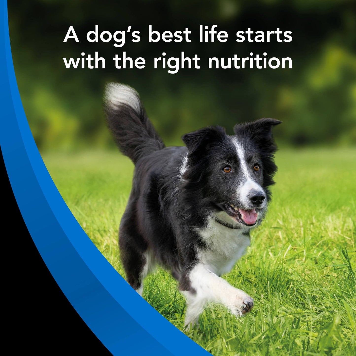 Supercoat Senior Fish Dry Dog Food 18kg - PetPost Australia