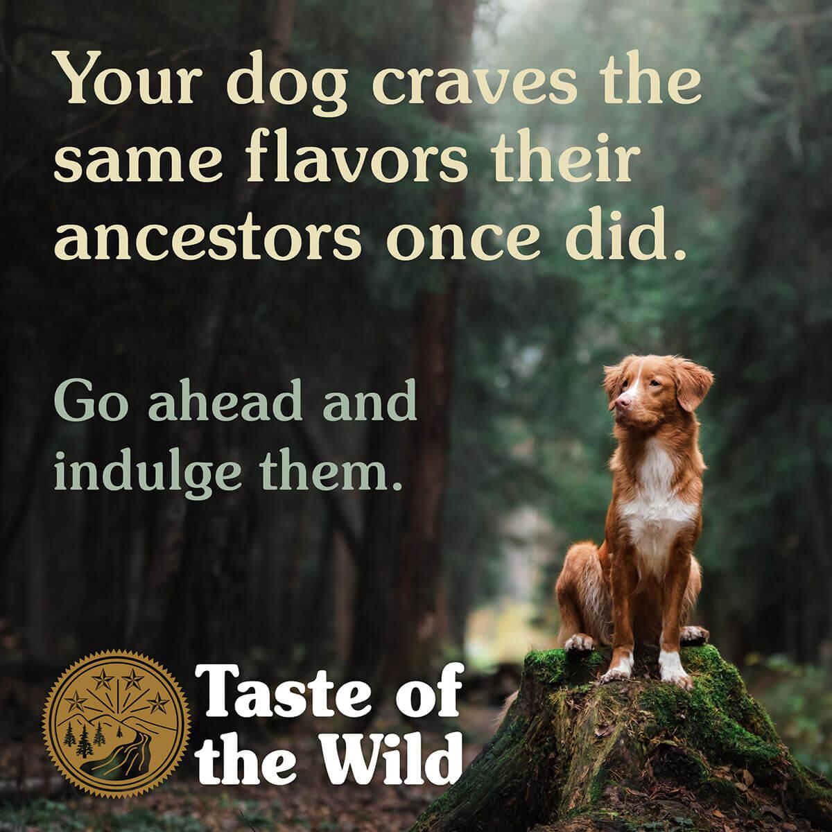 Taste of the Wild Pacific Stream Dry Dog Food - PetPost Australia