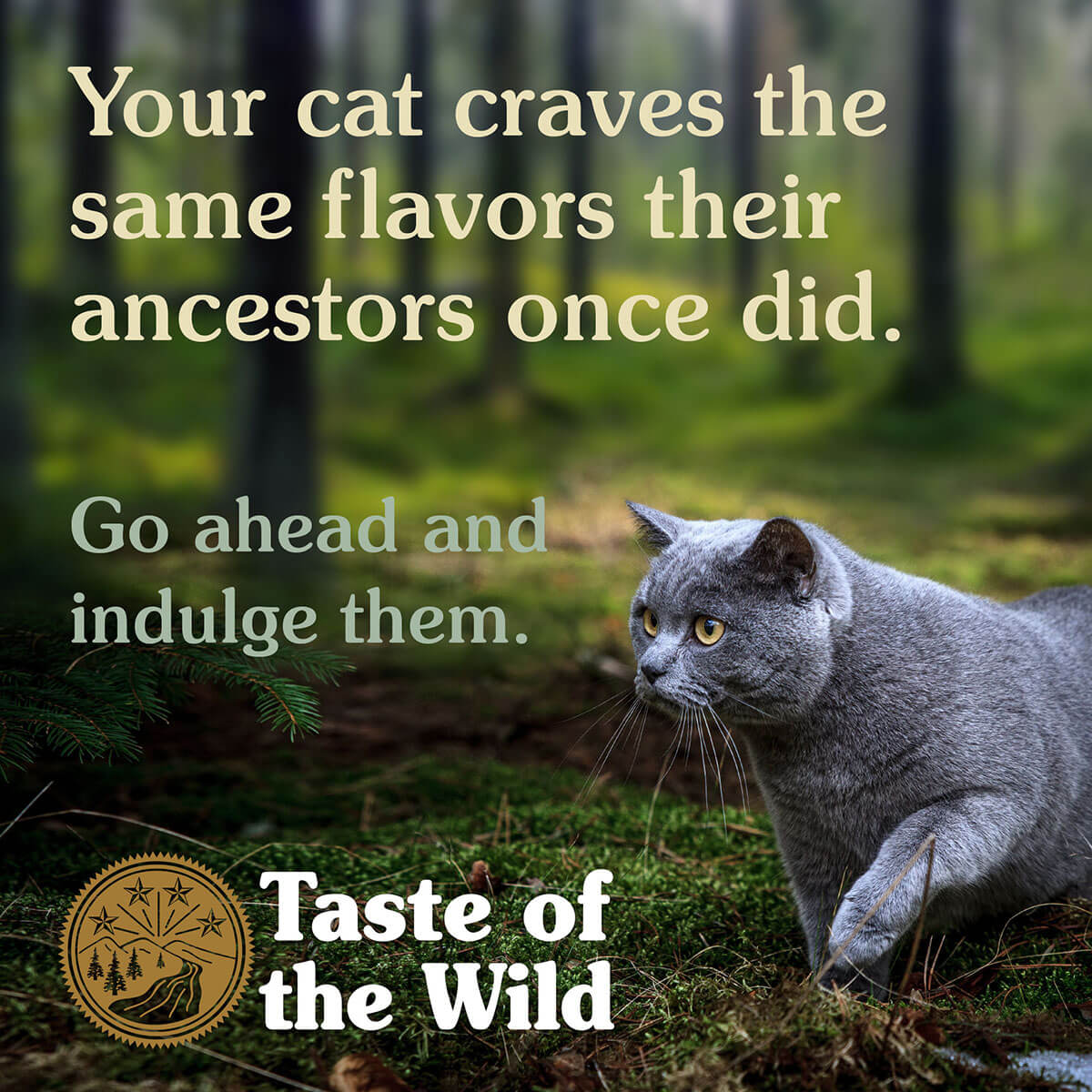 Taste of the Wild Rocky Mountain Feline Dry Cat Food - PetPost Australia