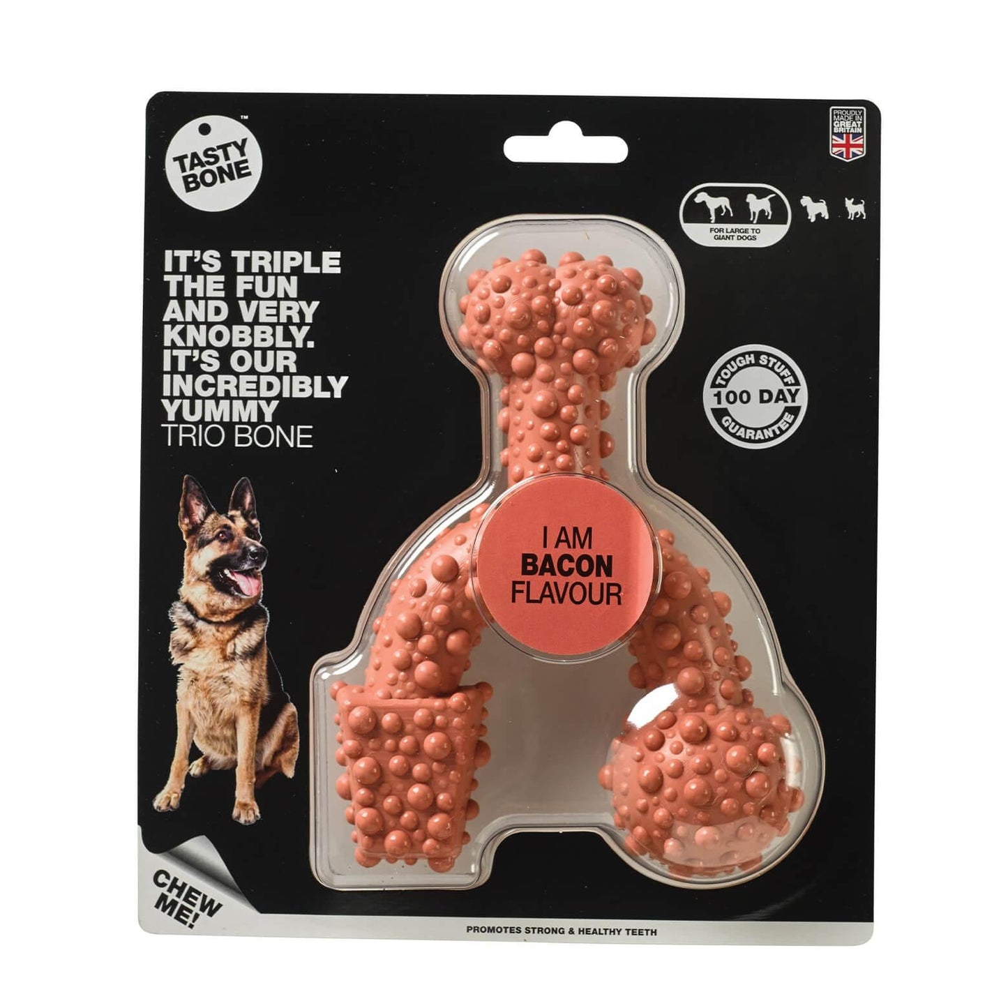 Tasty Bone Nylon Trio Bacon - PetPost Australia