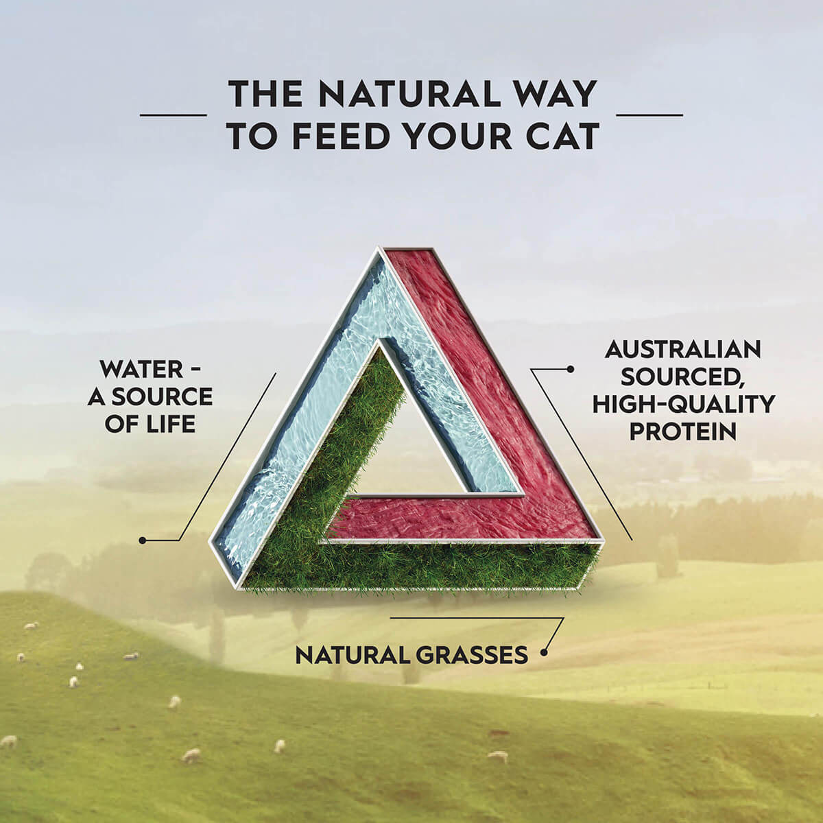 Trilogy Adult Kangaroo Dry Cat Food 1.8kg - PetPost Australia