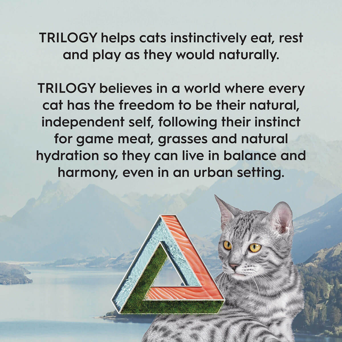 Trilogy Adult Salmon Dry Cat Food 1.8kg - PetPost Australia