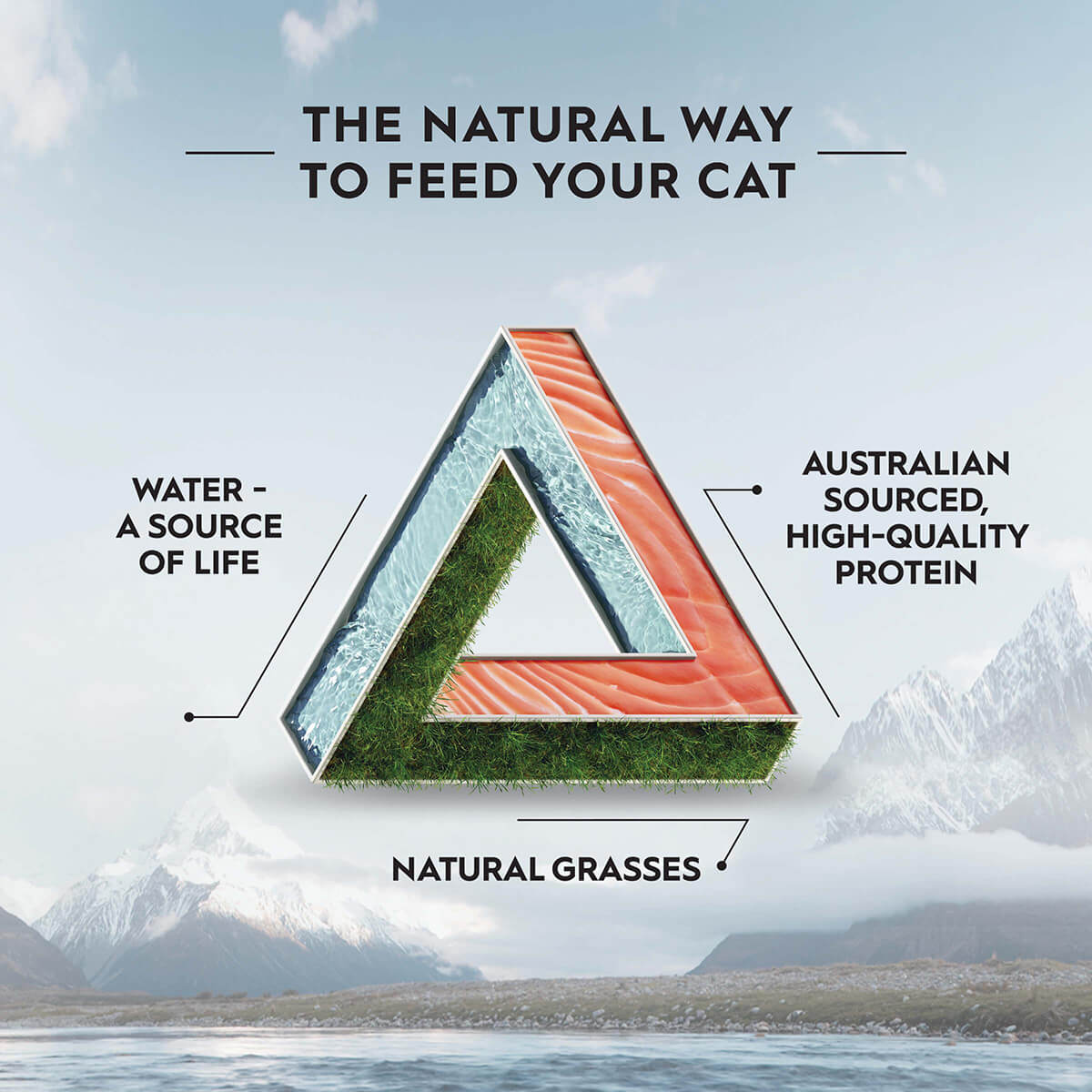 Trilogy Adult Salmon Dry Cat Food 1.8kg - PetPost Australia