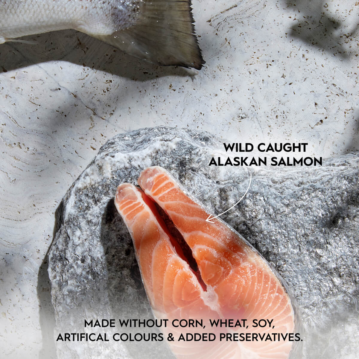 Trilogy Adult Wild Alaskan Salmon in Bone Broth Wet Cat Food 85g - PetPost Australia