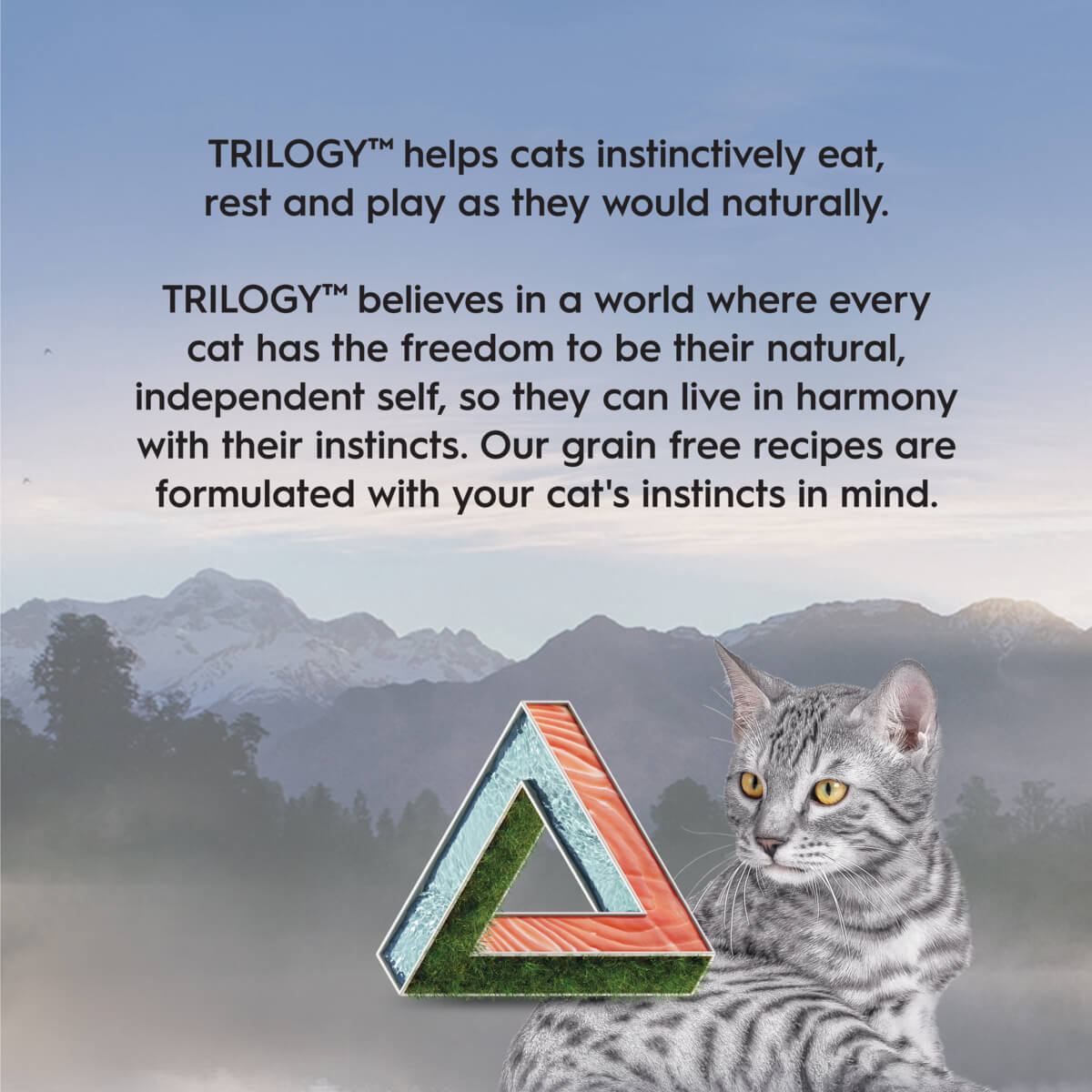 Trilogy Adult Wild Alaskan Salmon in Bone Broth Wet Cat Food 85g - PetPost Australia