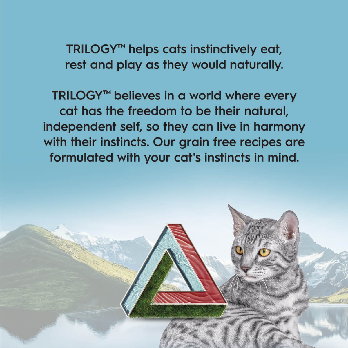 Trilogy Adult Wild Caught Tuna in Bone Broth Wet Cat Food 85g - PetPost Australia