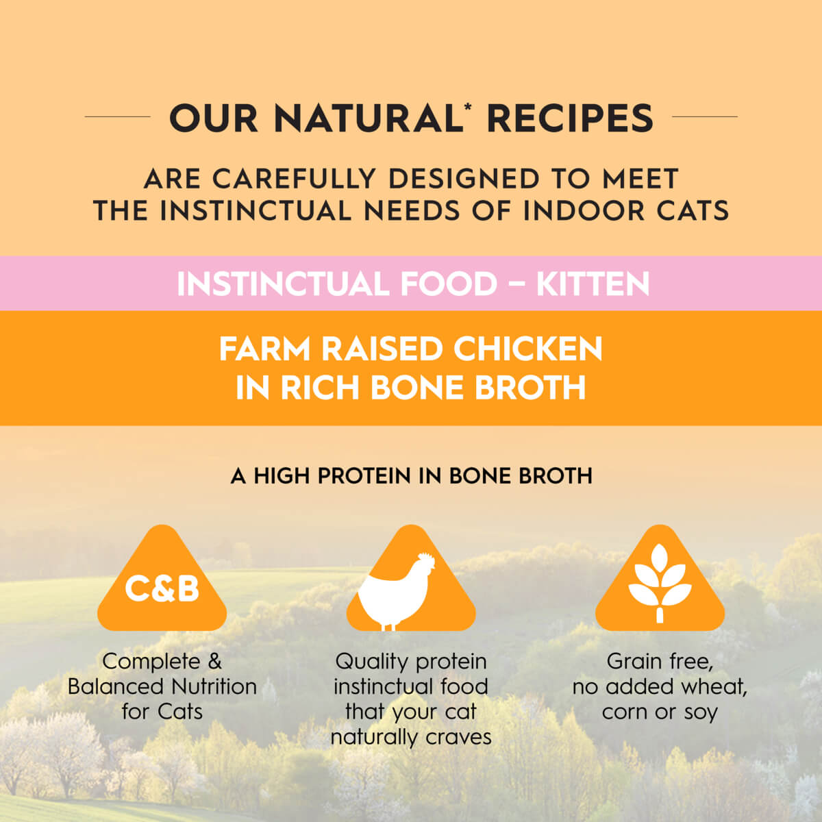 Trilogy Kitten Chicken in Bone Broth Wet Cat Food 85g - PetPost Australia