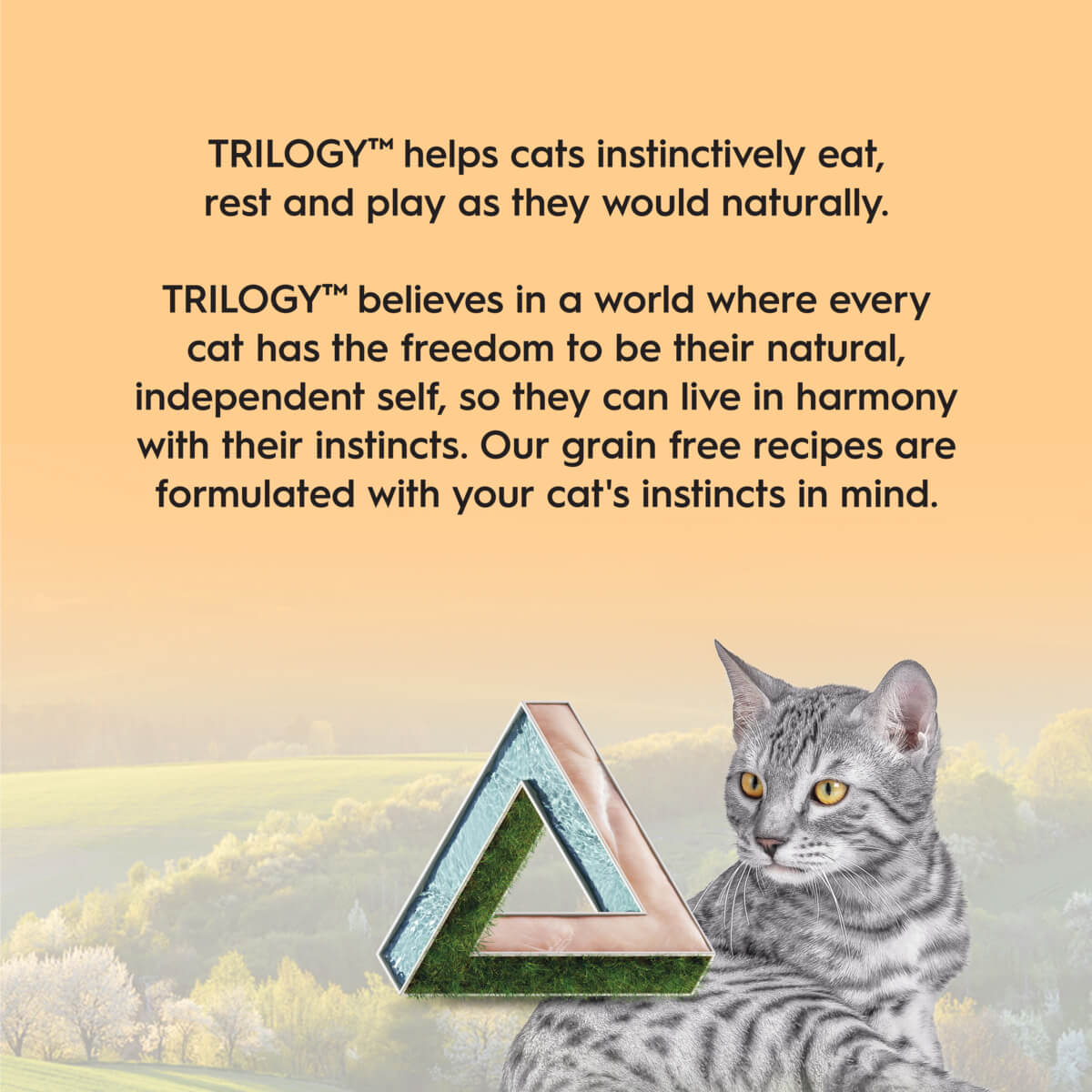 Trilogy Kitten Chicken in Bone Broth Wet Cat Food 85g - PetPost Australia