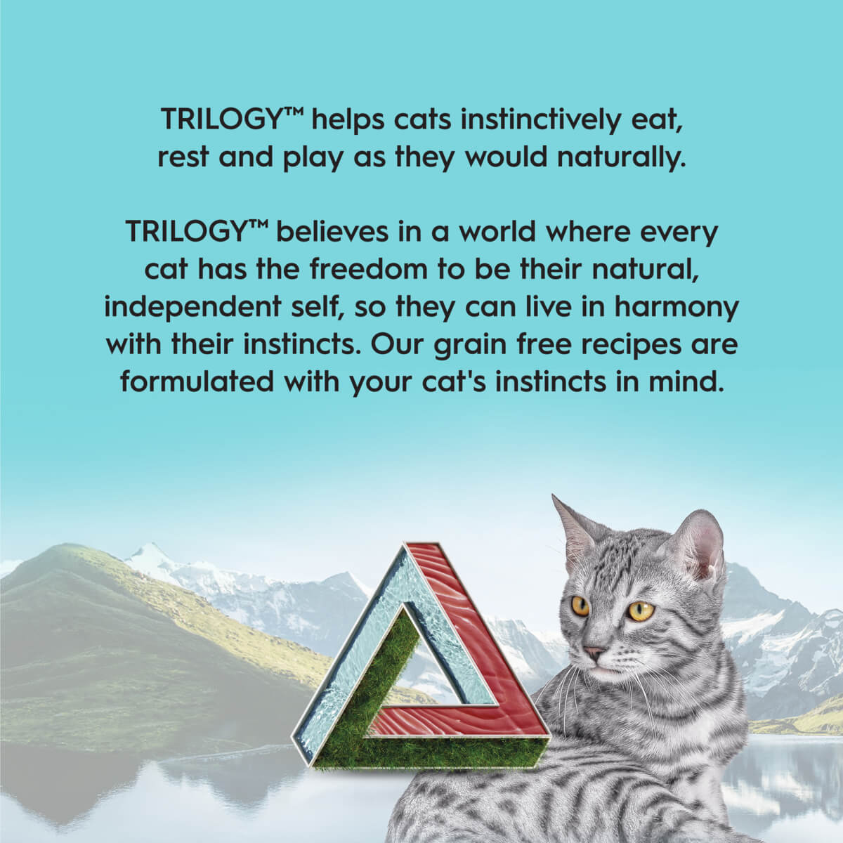 Trilogy Kitten Tuna in Bone Broth Wet Cat Food 85g - PetPost Australia