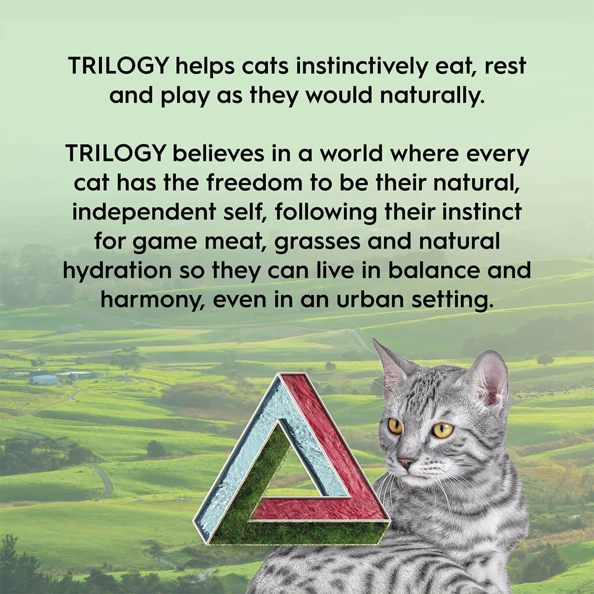 Trilogy Lamb Freeze Dried Cat Treats 50g - PetPost Australia