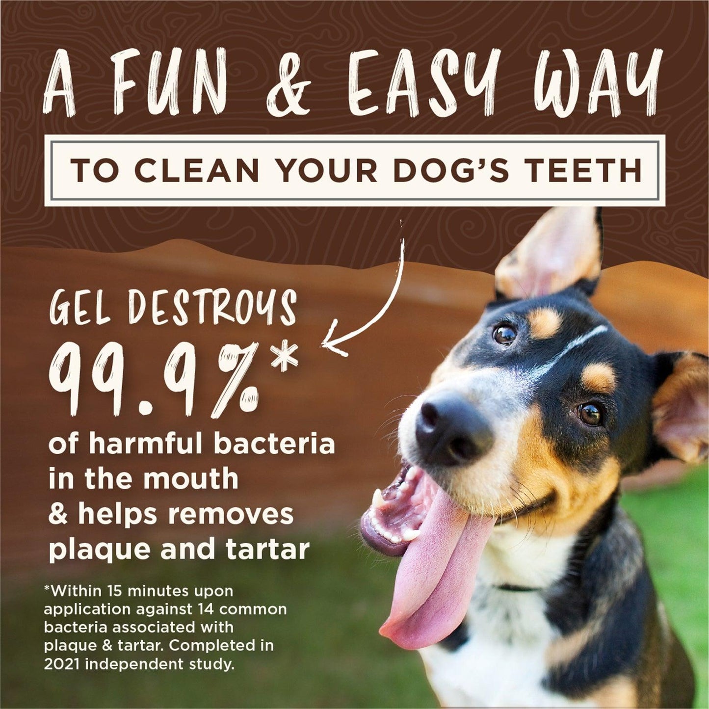 TropiClean Enticers Kong Dental Ball & Smoked Beef Brisket Gel - PetPost Australia
