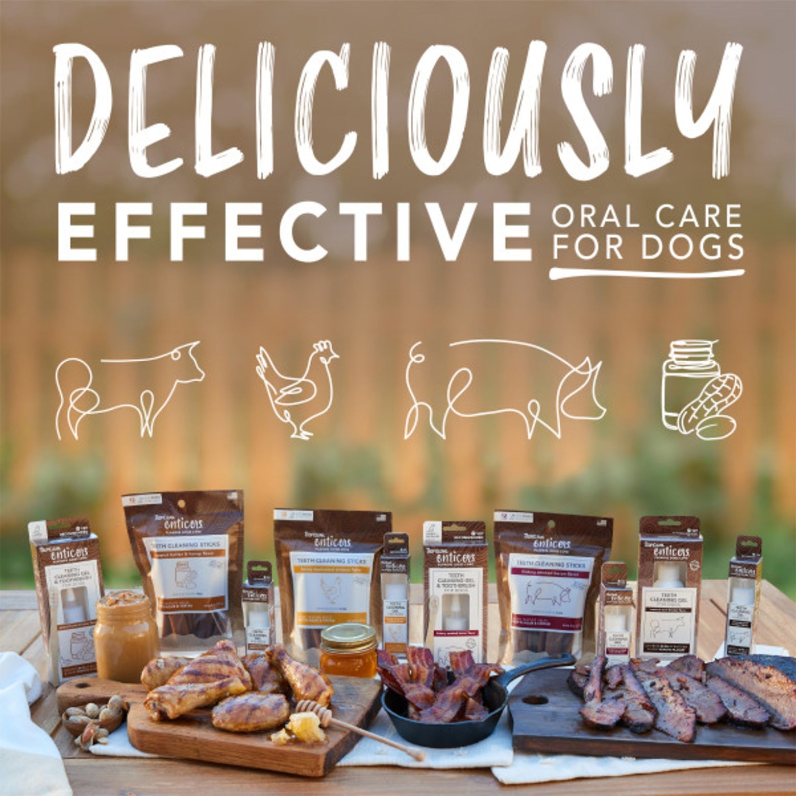 TropiClean Enticers Kong Dental Ball & Smoked Beef Brisket Gel - PetPost Australia
