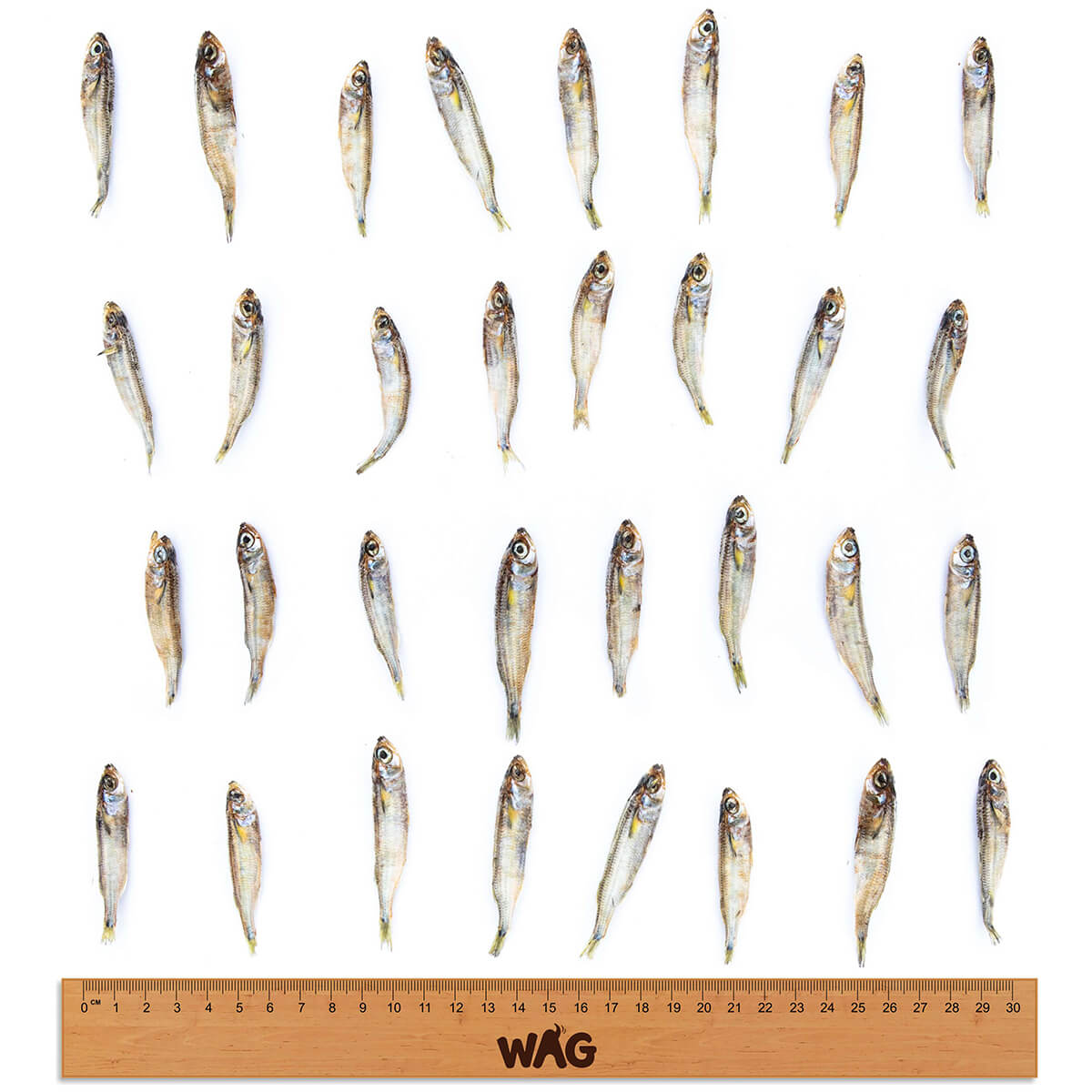 WAG Forage Fish Dog Treats 200g - PetPost Australia