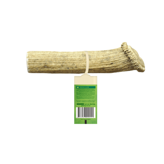 Watch and Grow Naturally Shed Split Deer Antler Long Lasting Dog Treat - PetPost Australia