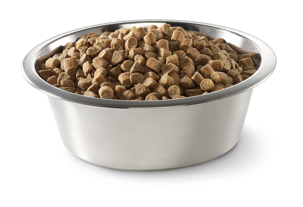Wellness Core Grain Free Adult Wild Game Dry Dog Food 10kg - PetPost Australia
