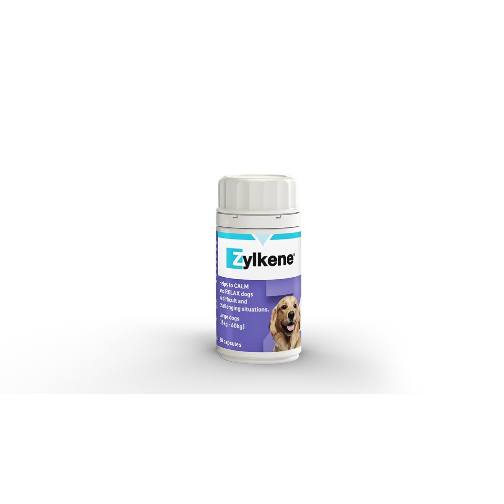 Zylkene Calming Capsules 450mg For Dogs 15-60kg 30pk - PetPost Australia